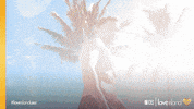 Cbs Love GIF by LoveIslandUSA