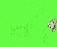 Lab Onf GIF by Alex Boya