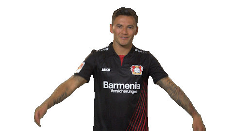 bayer leverkusen love Sticker by Bundesliga