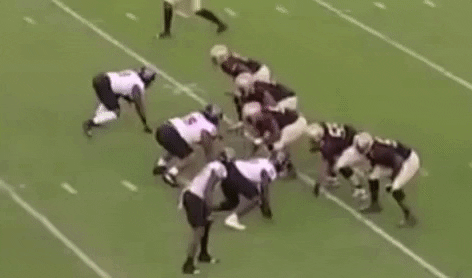 bson1011 giphygifmaker GIF