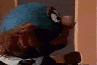 Shocked Muppets GIF