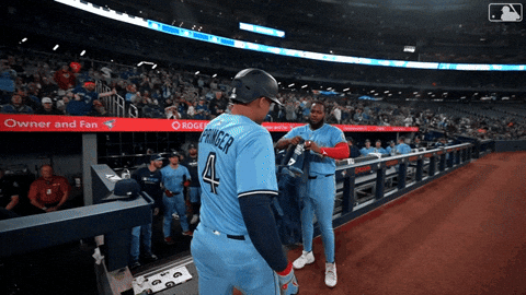 Blue Jays Baseball GIF by Toronto Blue Jays