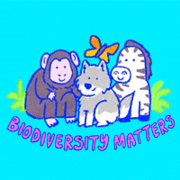 Biodiversity