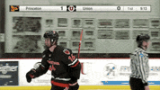 PrincetonAthletics hockey princeton princetontigers princetonhockey GIF
