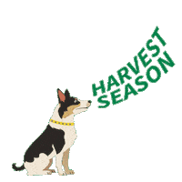 Farmdog Sticker by DEKALB Asgrow Deltapine