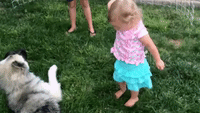 Little Girl Bravely Attempts to Break Up a Dog Fight