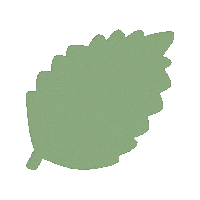Leaf Sticker