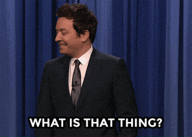 What Is That Jimmy Fallon GIF by The Tonight Show Starring Jimmy Fallon