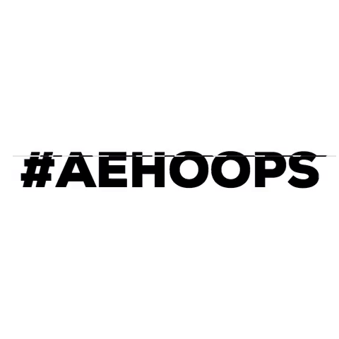 college basketball aehoops GIF by America East
