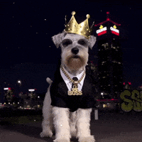 Royal Dog GIF