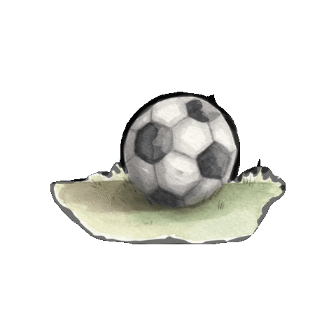 Futbol Pelota Sticker by Catapulta editores
