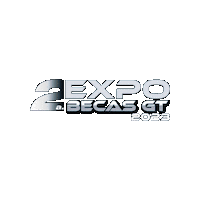 SEGEPLAN becas segeplan becas segeplan becas guatemala Sticker