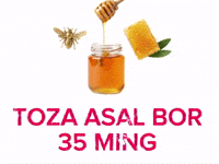Asal GIF
