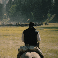 Horse Hat GIF by SkyShowtime