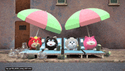 Angry Cat GIF by HangryPetz