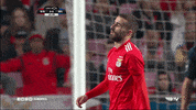 tired sl benfica GIF by Sport Lisboa e Benfica
