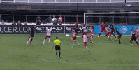 soccer mls GIF by D.C. United