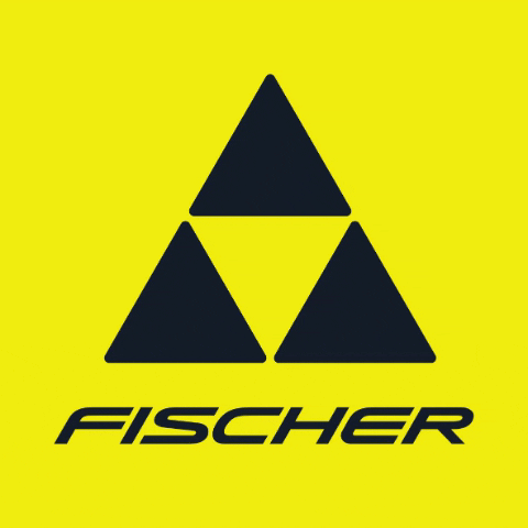 fischerskisus giphygifmaker ski skiing fischer GIF