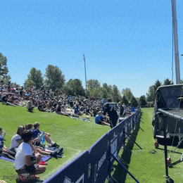 kingkaps7 giphyupload kingkaps7 seahawks training camp rolling with the junior 12s GIF