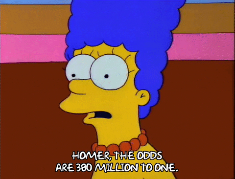 Season 3 Statistics GIF by The Simpsons