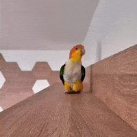 Dance Step GIF