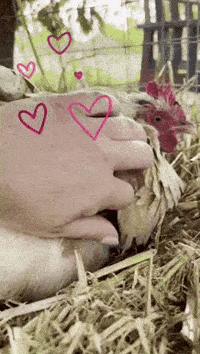 Baby Mother GIF