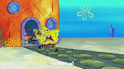season 10 episode 3 GIF by SpongeBob SquarePants