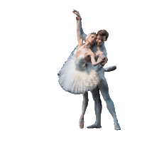 Sticker by QNBallet