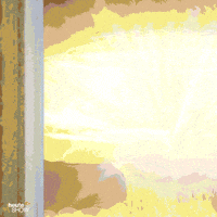 Happy Donald Trump GIF by Heute-Show