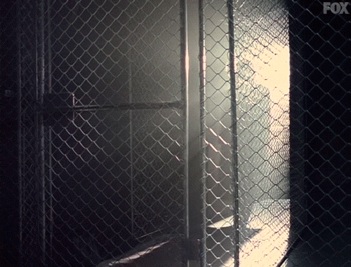 x files GIF by The X-Files