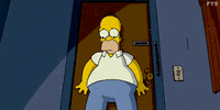 homer simpson GIF