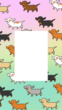 Dog Rainbow Sticker by Stefanie Shank