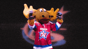 marty moose dancing GIF by Newcastle Northstars