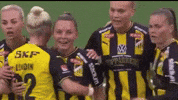 Womens Soccer Football GIF