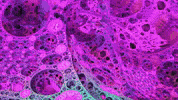 Trip Tripping GIF