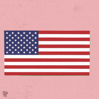 Independence Day Celebration GIF by Love is Here Every Day™