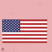Independence Day Celebration GIF by Love is Here Every Day™