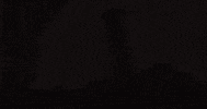 trinityuniversity tu trinity trinity university leeroy GIF