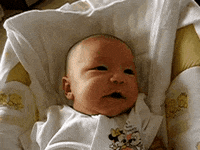 GIF by Giffffr
