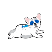 Family First Dog Sticker by Family First Funding LLC