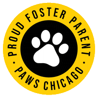 Foster Sticker by PAWS Chicago