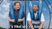 Snl GIF by Saturday Night Live