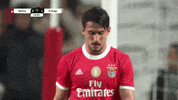 Frustrated Sl Benfica GIF by Sport Lisboa e Benfica