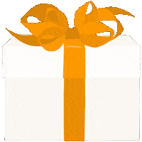 splurgeshop shopping shop gift gifts GIF