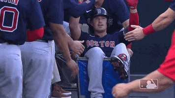 Regular Season Sport GIF by MLB