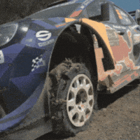 GIF by FIA World Rally Championship