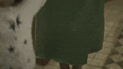 GIF by Eccho Rights