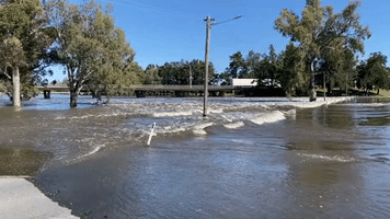 Australian Country Road Becomes Fish Crossing as River Floods in Forbes, New South Wales
