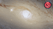 Universe Galaxy GIF by ESA/Hubble Space Telescope