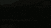Tauroa tauroa altaussee jausenstation seewiese GIF